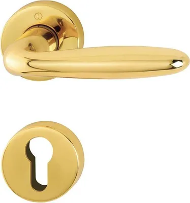A gold-colored door handle and keyhole escutcheon are shown against a white background.