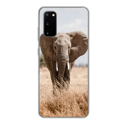 Produktbild von MuchoWow® Handyhülle Schutzhülle Hülle für Samsung Galaxy S20 Elefant - Natur - Tiere - Porträt Silikon Softcase Handy Hülle - Bild