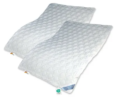 Produktbild von 2 Stück Wildseide Seide Baumwolle Sommerbett Sommer Bettdecke 135x200