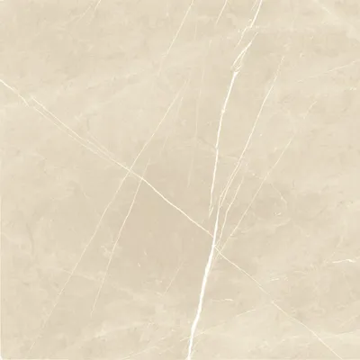Produktbild von Bodenfliese Ciana 60 x 60 cm beige