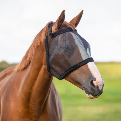 Productafbeelding van Vliegenbeschermingsmasker voor Paarden zonder Oren
