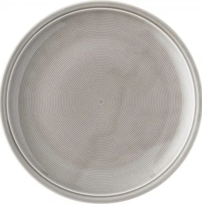 Immagine prodotto di Thomas Trend Colour Speiseteller, Teller flach, Porzellan, Moon Grey, 28 cm, 11400-401919-10229