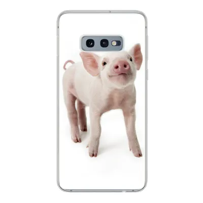 Produktbild von MuchoWow® Handyhülle Schutzhülle Hülle für Samsung Galaxy S10e Schwein - Tiere - Weiß Silikon Softcase Handy Hülle - Handy