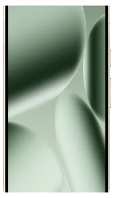 Image de Google Pixel 10 Pro 16 cm (6.3") Double SIM Android 16.0 5G 16 Go 256 Go 4870 mAh Vert