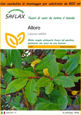Immagine prodotto di SAFLAX Garden in the bag - Alloro - 6 semi - Laurus