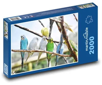 Zdjęcie produktu dla martinpuzzle - Puzzle 2000 - Papugi - ptactwo