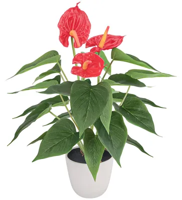 Künstliche Anthuriumpflanze, 38 cm, mit Topf, rot
