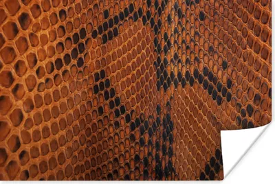 Produktbild von MuchoWow® Poster Leder - Textur - Tierhaut 180x120 cm - Fotoplakat