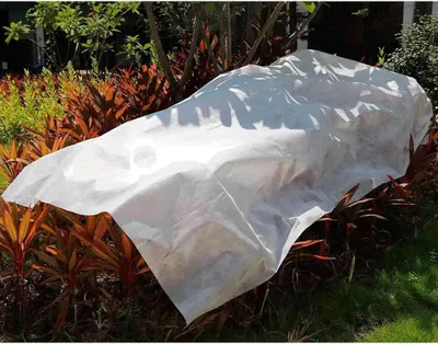 Immagine prodotto di Tessuto fitosanitario 2x10m 30gr/m² giardino biotopo