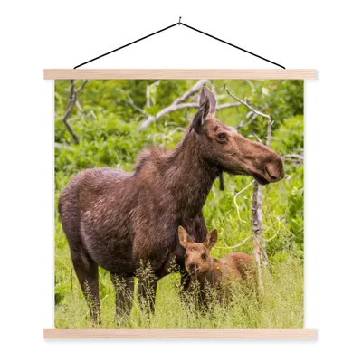 Produktbild von MuchoWow® Textilposter Rentier - Pflanzen - Kalb 120x120 cm mit holzfarbenen Rahmen - Textil-Poster