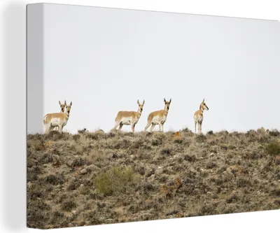 Obrázok produktu pre OneMillionCanvasses® - Obrazy na plátne - 140x90 cm, Jelen - Príroda - Hory, Nástenná umelecká tlač Nástenná dekorácia - Fotografia na plátne - Maľba na drevenom ráme