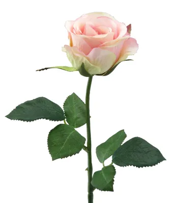 Produktbild von Rose Wasserstiel 47,5cm rosa
