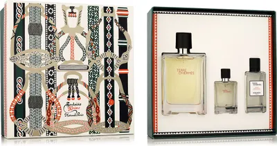 Image de Terre D'Hermes Eau De Toilette Spray 100ml Set 3 Pieces