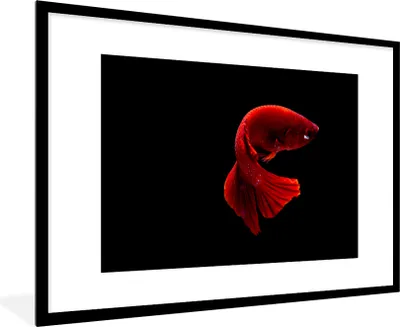 Produktbild von MuchoWow® MuchoWow® Gerahmtes Poster Fisch - Rot - Schwarz 90x60 cm - Poster mit zchwarzem Bilderrahmen - Wanddekoration - Fotos