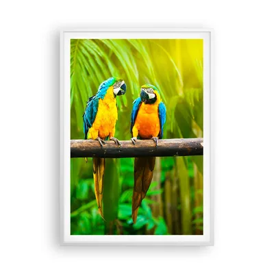 Produktbild von Gerahmtes Poster - Weißer Rahmen - Papageien Collorful Natur Vögel - 70x100 cm - Wand Bild - Wanddeko - Wandbilder - Wandposter - Bilderrahmen - Bilder - Kunstdruck - Wandbild - P2WPA70x100-2696