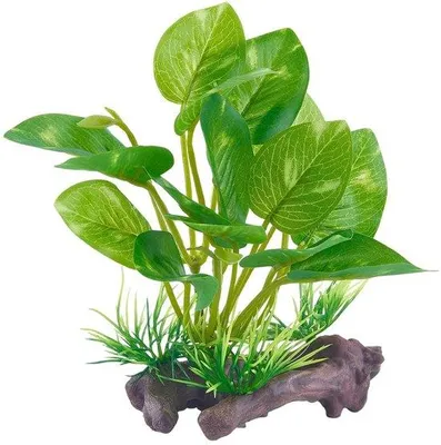Zdjęcie produktu dla Sztuczne rośliny do akwarium i terrarium, wykonane z tworzywa sztucznego