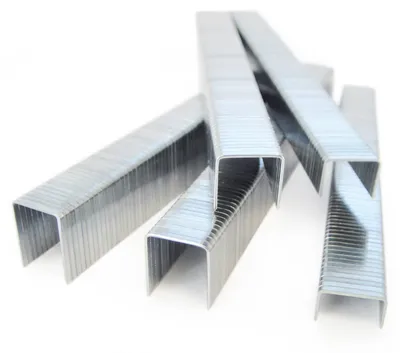 Image de TACWISE 0457 Agrafes TACWISE 73/12 mm galvanisées, 5 000 pièces