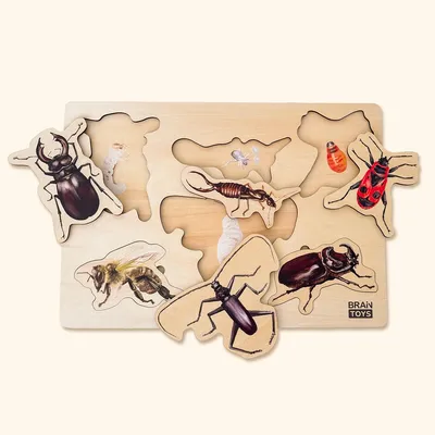 Obrázok produktu pre Drevené puzzle - Hmyz