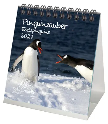 Produktbild von Pinguinzauber Eselspinguine Tischkalender 10x10cm für 2027 Pinguin - Seelenzauber
