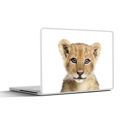 Produktbild von MuchoWow® Laptop Aufkleber Sticker Cover Löwe - Tiere - Natur - Weiß 32.5x23.5 cm - Sticker für Laptop - Selbstklebend
