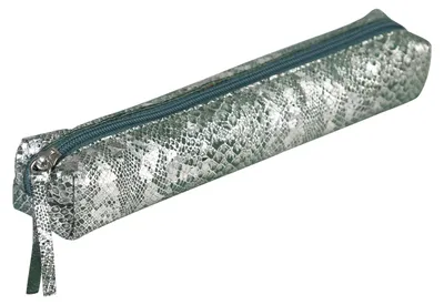 Image de Clairefontaine Céleste Schlamper Led 19,5x2,5x4 gn