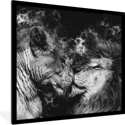 Produktbild von MuchoWow® Gerahmtes Poster Löwe - Rauch - Liebe - Schwarz - Weiß 40x40 cm - Poster mit Schwarzem Bilderrahmen Wandposter Rahmen Foto Bilder - Mit Rahmen - Wanddekoration Schlafzimmer