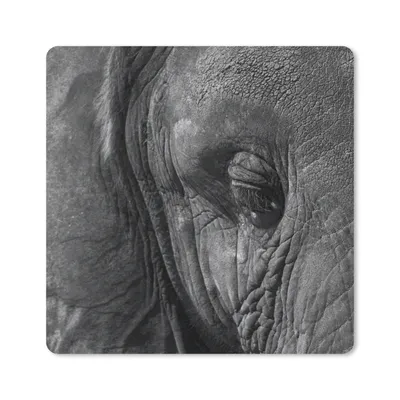 Produktbild von MuchoWow® Mauspad Mousepad Elefant - Tiere - Nahaufnahme - Schwarz und weiß 20x20 cm - Mousepads - Maus Mat - Pad - Mausunterlage - Desk Mat - Bureauartikeln