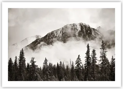 Produktbild von Poster - Poster ohne Rahmen - Nebel Berg Wald - 70x50 cm - Wand Bild - Wanddeko - Wandbilder - Kunstposter - Wandposter - Bilder - Kunstdruck - Wanddekoration - Wandbild - P2XAA70x50-4936