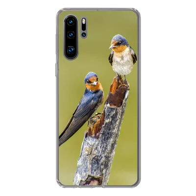 Produktbild von MuchoWow® Handyhülle Schutzhülle Hülle für Huawei P30 Pro Vögel - Zweig - Porträt Silikon Softcase Handy Hülle - Schutzdeckel