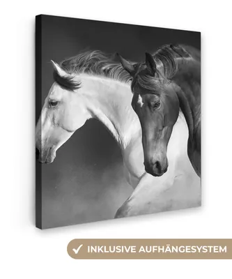 Produktbild von MuchoWow® - Leinwandbilder - Pferde - Tiere - Schwarz - Weiß - Porträt, Wandbild, Wanddeko Bilder Wohnzimmer, 50x50 cm