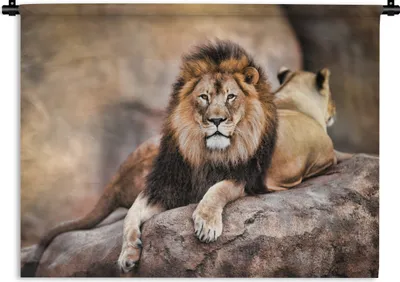 Produktbild von MuchoWow® Wandteppich Wandbehang Löwe - Felsen - Tiere 120x90 cm Tapisserie Dekoration Wandtuch - Wohnen - Aufhänger für die Wand