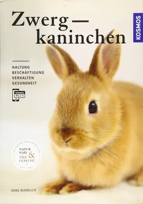 Produktbild von Zwergkaninchen