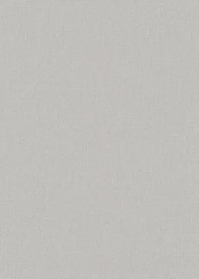 Produktbild von Erismann Vliestapete Uni taupe 10,05 x 0,53 m