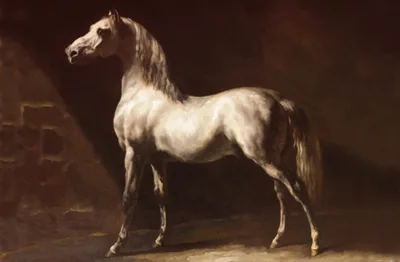 Produktbild von Theodore Géricault Kunstdruck Bild - Araber Schimmel, Vor 1824 (80 x 120 cm)