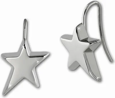 Produktbild von Amello Edelstahl silberfarben glänzend Damen Ohrschmuck ESOX19J
