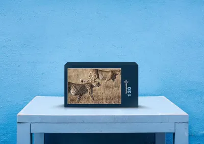 Produktbild von hansepuzzle 80482 - Geparden Puzzle, 130 Teile, Natur, 28,7 x 20,0cm mit hochwertiger Aufbewahrung, Kartonbox und wiederverschließbarem Beutel