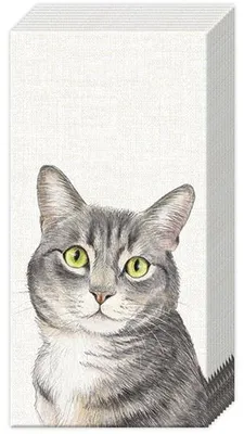 Produktbild von Papiertaschentücher "Cat"