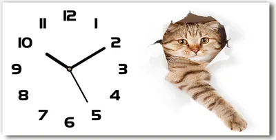 Produktbild von Wanduhr aus Glas – 60x30 cm - Glasbild - Glasuhr - Gehärtetes Glas - schwarze-zeiger - Katze