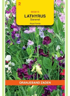 Obrázok produktu pre Oranjeband – Zmes odrody Lathyrus odoratus Royal Family – 1 balenie semien