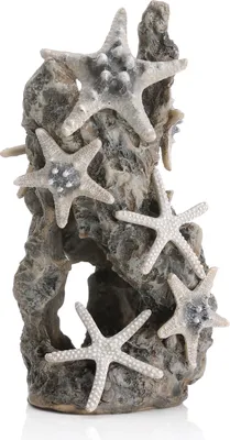 Produktbild von biOrb Seesternfelsen Ornament (46132)