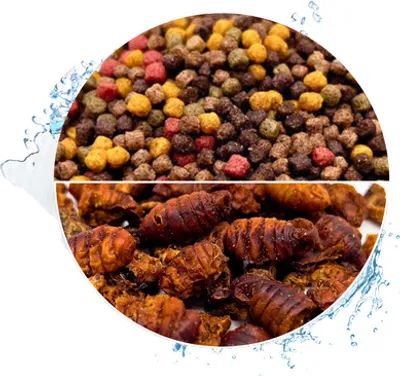 Produktbild von WTS Koifutter 10-Sorten Mix mit Spirulina & Paprika - 15 Liter + 1 Liter Seidenraupen 3 mm