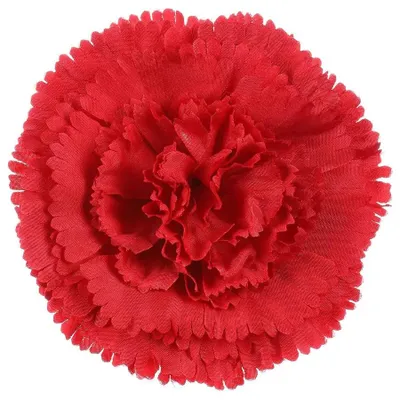 Obrázek produktu pro Autronic Karafiát květ 12 ks KUM3420-RED