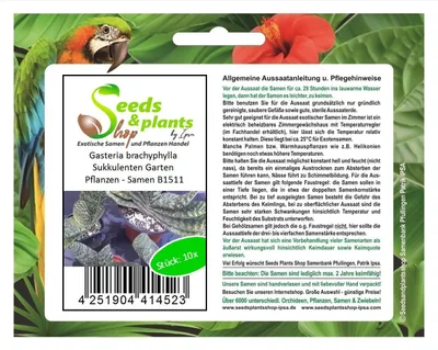 Produktbild von 10x Gasteria brachyphylla Sukkulenten Garten Pflanzen - Samen B1511