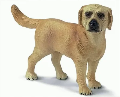 Produktbild von Schleich Golden Labrador Figurine 3+ Yearbeschädigt