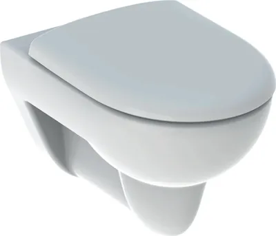 Immagine prodotto di Geberit Wand-Tiefspül-WC Renova Set m WCSitz Bef. v. un. 540mm Ausld. weiß