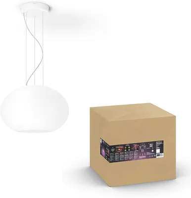 Image de Philips by Signify Philips Hue White and colour ambience Flourish pendant light