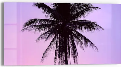 Produktbild von DEQORI Glasbild Echtglas 60x30 cm 'Tropische Abendruhe' Wandbild Bild modern Deko