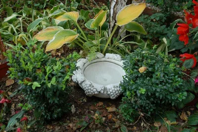 Obrázek produktu pro Vogel Tränke Skulptur Design Figur Statue Garten Figuren Statuen Schale 196