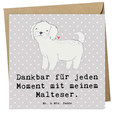 Produktbild von Mr. & Mrs. Panda Grußkarte Malteser Moment - Grau Pastell - Geschenk, anlasskarte, Glückwunschkarte, doppelkarte, faltkarte, Klappkarte