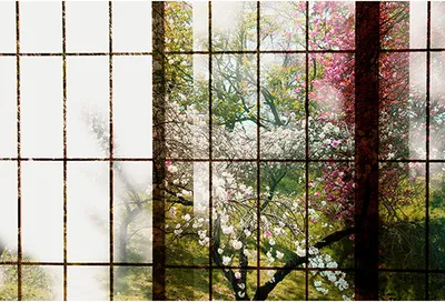 Produktbild von Tadessi Fototapete | Fenster | 4.00 m x 2.70 m | Grün | Rosa | Wandbild | Digitaldruck